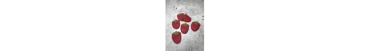 ginat strawbs 3.JPG