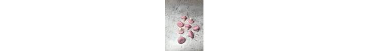 mushrooms 3.JPG