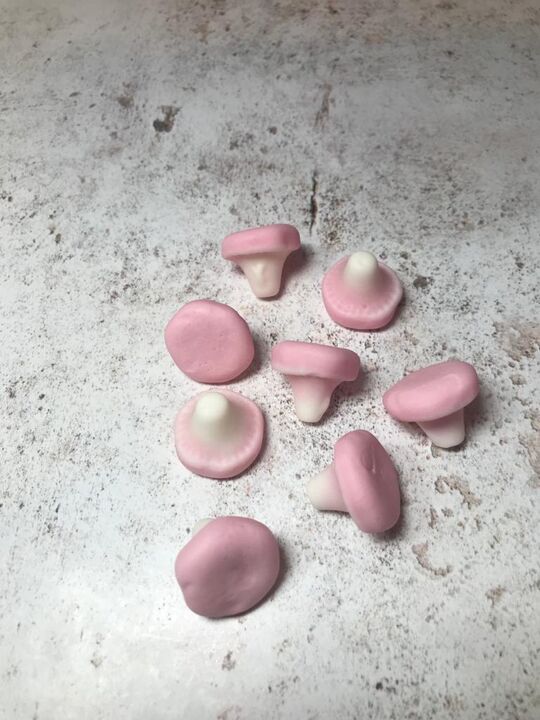 mushrooms 3.JPG
